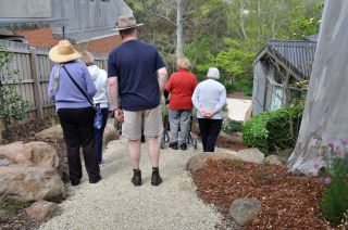 Going Down to the back garden