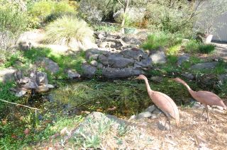 Sculpture by the pond