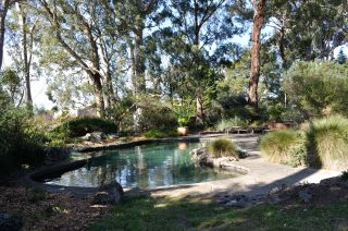 Water area