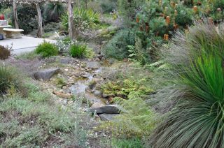 Planting around the house
