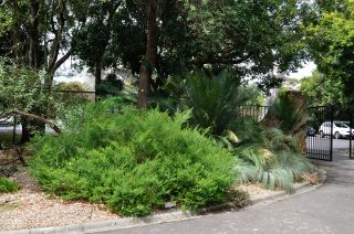 Carpark entrance at Maranoa