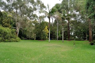 Picnic under the palms at Maranoa Garden