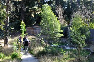 Donvale Pathway