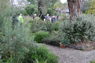 Garden Visit - The Basin