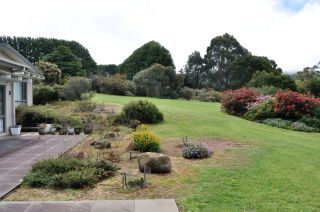 The Back Garden