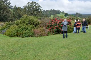 The Expansive Garden - Menzies Creek
