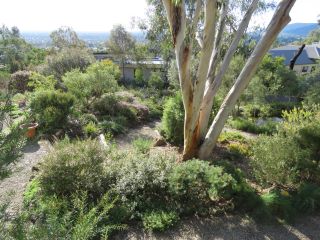 Garden 2