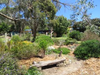 Garden 4