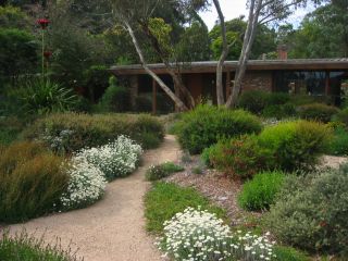Garden 7