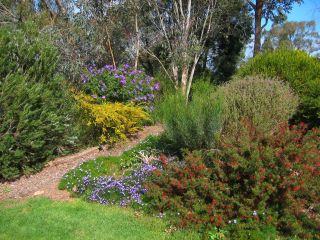 Garden 8