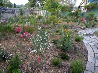 Garden 11