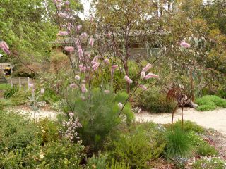 Garden 10