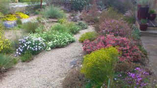 Garden 13