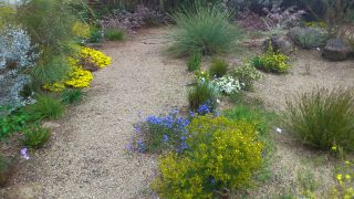 Garden 14
