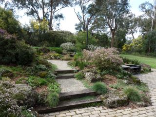 Garden 12