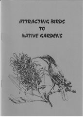 Attracting Birds to Native Gardens