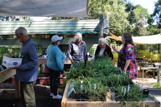 Discussing plant selection