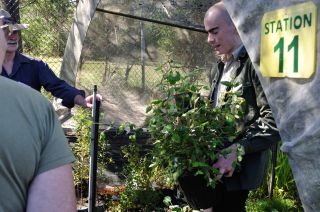 Jarvis again