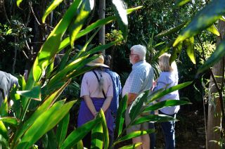 Member visitors