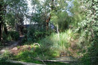 General view of Garden
