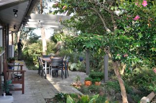Garden Visit